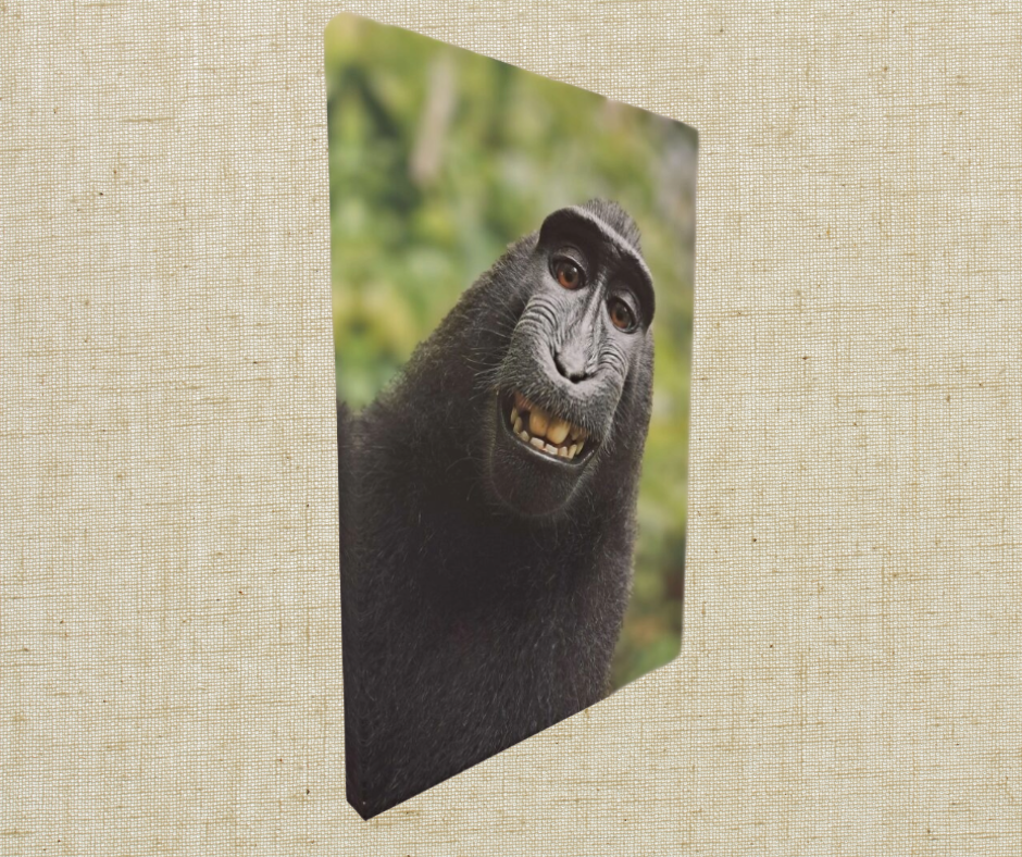 monkey-canvas
